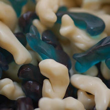 Baby Dolphins - 3 Kg Bulk Pack